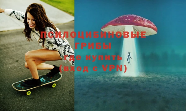 дурь Алексеевка