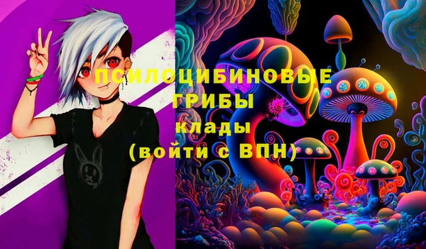 2c-b Алексин