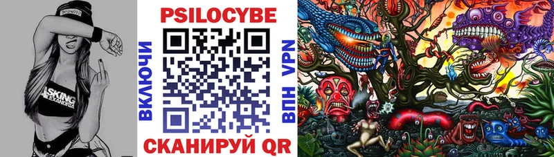 Псилоцибиновые грибы Cubensis  Борзя 