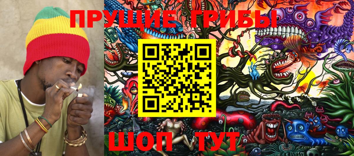 Псилоцибиновые грибы MAGIC MUSHROOMS  Галлюциногенные грибы прущие грибы  Вход с VPN  Борзя 